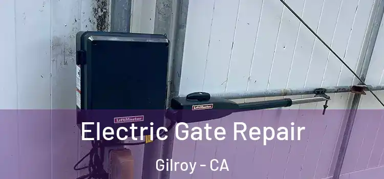 Electric Gate Repair Gilroy - CA