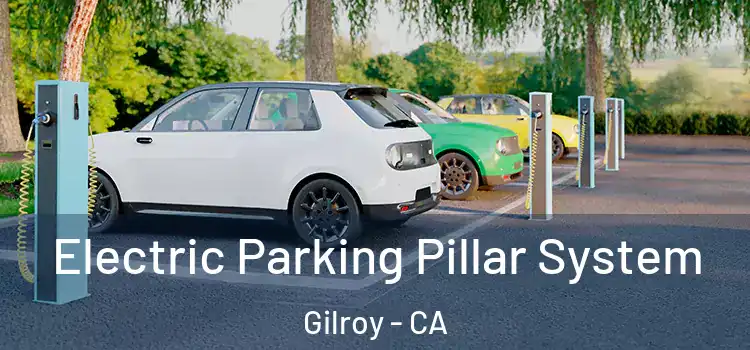 Electric Parking Pillar System Gilroy - CA