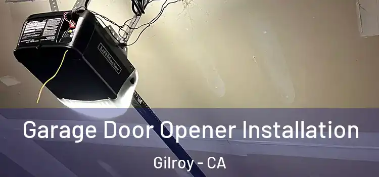  Garage Door Opener Installation Gilroy - CA