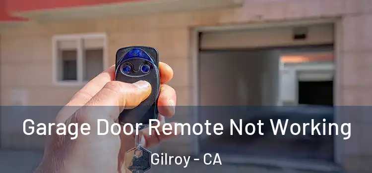 Garage Door Remote Not Working Gilroy - CA