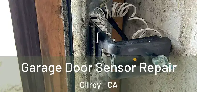 Garage Door Sensor Repair Gilroy - CA