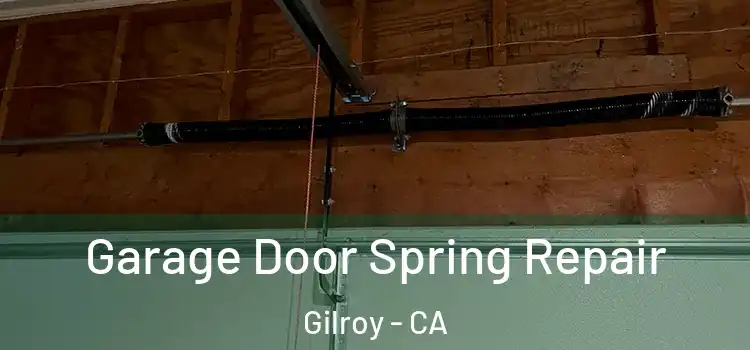  Garage Door Spring Repair Gilroy - CA