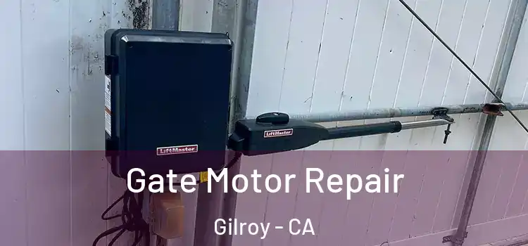 Gate Motor Repair Gilroy - CA
