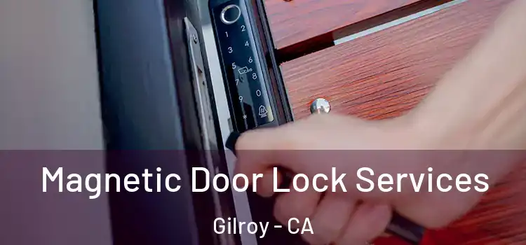 Magnetic Door Lock Services Gilroy - CA